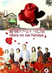 Flower Shop Without Rose / Flower Shop Without Rose