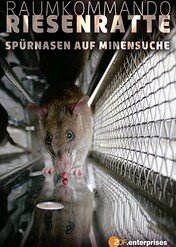 Szczury saperzy z Mozambiku / Räumkommando Riesenratte – Spürnasen auf Minensuche