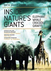 Anatomia gigantów natury / Inside Nature's Giants