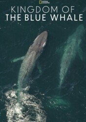 Królestwo płetwala błękitnego / Kingdom of the Blue Whale