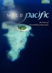 Południowy Pacyfik / South Pacific