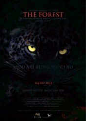 The Forest / The Forest