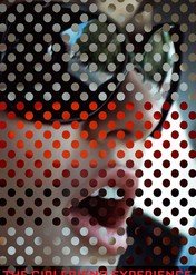 Dziewczyna zawodowa / The Girlfriend Experience