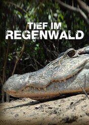 W głębi lasów deszczowych / Tief im Regenwald