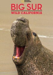 Dzikie wybrzeże Kalifornii / Big Sur: Wild California