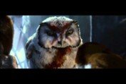Legend of the Guardians - The Owls of Ga Hoole Trailer 3