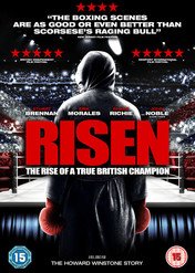 Powrót. Historia Howarda Winstone'a / Risen