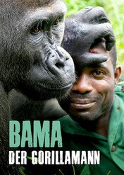Alfred Bama: Opiekun goryli / Bama der Gorillamann