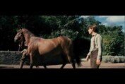 War Horse Movie Official Teaser Trailer - Directed by Steven Spielberg - HD