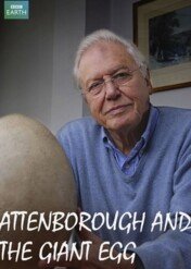 Attenborough & The Giant Egg / Attenborough & The Giant Egg
