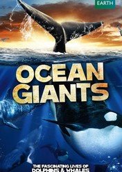 Ocean Giants / Ocean Giants