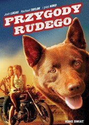 Przygody Rudego / Red Dog