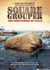 Square Grouper / Square Grouper