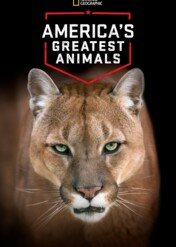 America's Greatest Animals / America's Greatest Animals