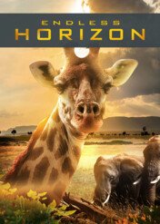 Aż po horyzont / Endless Horizon