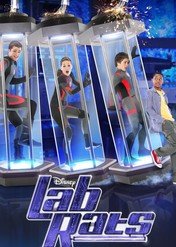 Szczury laboratoryjne / Lab Rats