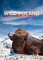 Wild Poland / Wild Poland