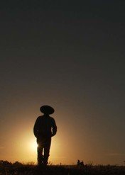 6 kroków / Six Degrees