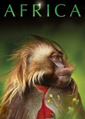 Africa / Africa