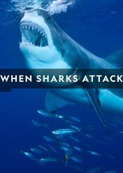 Atak rekina / When Sharks Attack