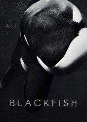 Czarna ryba / Blackfish