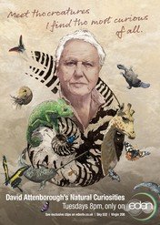 David Attenborough i cuda natury / David Attenborough's Natural Curiosities