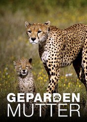 Gepardzia mama / Gepardenmutter