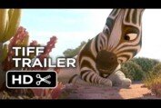 TIFF (2013) - Khumba Trailer #1 - Liam Neeson, Steve Buscemi Animated Movie HD