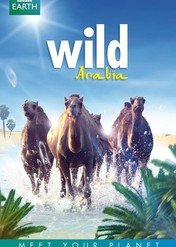 Wild Arabia / Wild Arabia