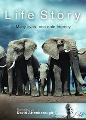 Historia Życia / Life Story