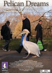 Pelican Dreams / Pelican Dreams