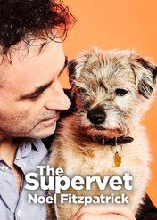 Supervet — na pomoc zwierzakom / The Supervet: Noel Fitzpatrick