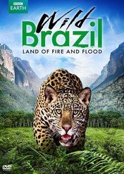 Wild Brazil / Wild Brazil
