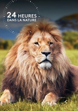 24 godziny w dziczy / Wild 24