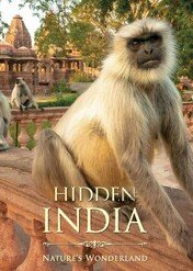 Hidden India / Hidden India