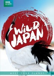 Japan: Earth's Enchanted Islands / Japan: Earth's Enchanted Islands