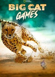Kocie rozgrywki / Big Cat Games