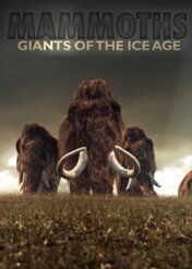 Mamuty - giganty epoki lodowcowej / Mammoths - Giants of the Ice Age
