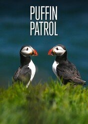 Maskonury / Puffin Patrol