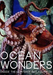 Ocean Wonders - Inside the Monterey Bay Aquarium / Ocean Wonders - Inside the Monterey Bay Aquarium