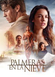 Palmy w śniegu / Palm Trees in the Snow