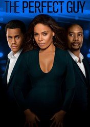 Idealny facet / The Perfect Guy