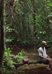 Uciekinier z Nowego Jorku / Song from the Forest