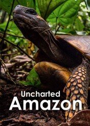Uncharted Amazon / Uncharted Amazon