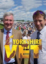 Weterynarz z Yorkshire / The Yorkshire Vet