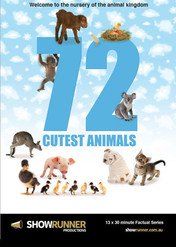 72 Cutest Animals / 72 Cutest Animals