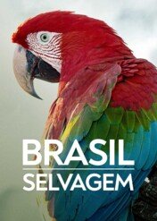 Dzika brazylia / Brazil Untamed