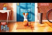 The Secret Life Of Pets - Official Teaser Trailer (HD) - Illumination