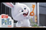 The Secret Life of Pets - Kevin Hart Is Snowball (HD) - Illumination
