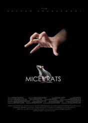 Myszy i szczury / Myszy i szczury